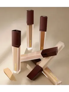 Vanish Airbrush Concealer 2.webp